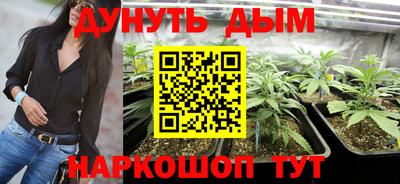 трава Комсомольск-на-Амуре