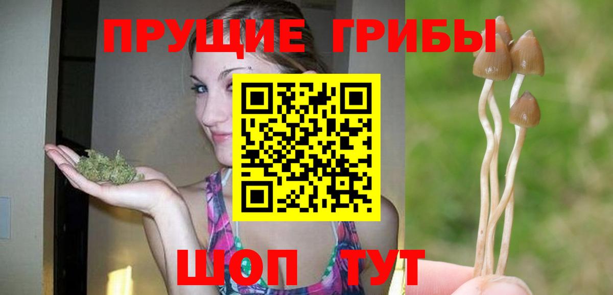 Нижнеудинск  Галлюциногенные грибы Psilocybe  где купить наркоту  Вход с VPN  Галлюциногенные грибы мицелий 